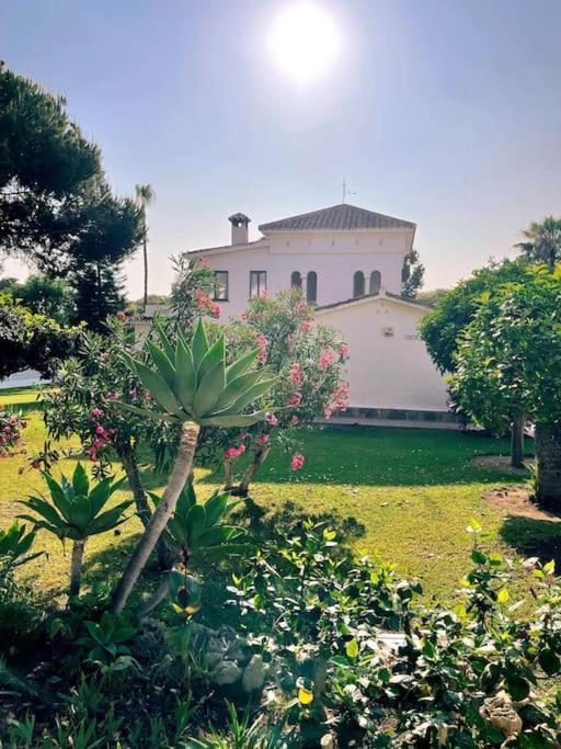 Villa Santa Cristina Cerca Del Mar マルベーリャ エクステリア 写真