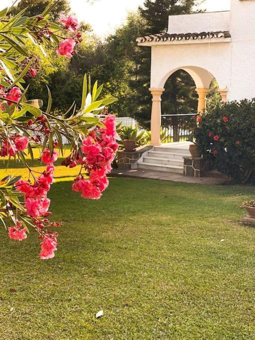 Villa Santa Cristina Cerca Del Mar マルベーリャ エクステリア 写真